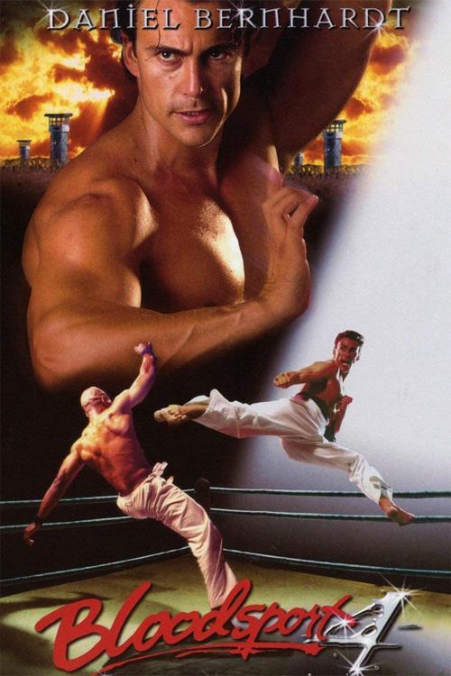 Bloodsport 4: The Dark Kumite (Lionsgate/Maple) (used)